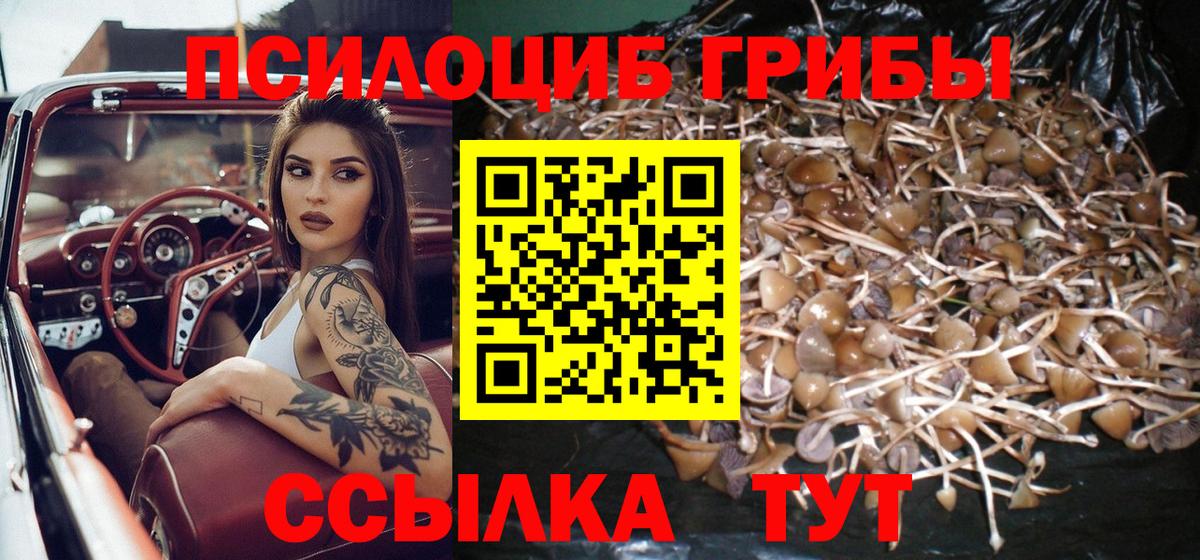 Галлюциногенные грибы прущие грибы  Псилоцибиновые грибы Cubensis  Вход с VPN  Великий Устюг 