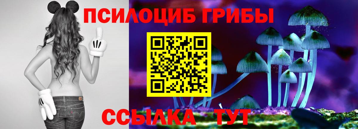 Галлюциногенные грибы GOLDEN TEACHER Великий Устюг
